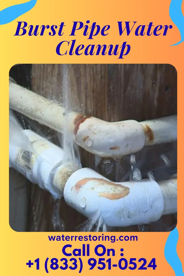 Burst Pipe Water Cleanup in Lindsey, OH