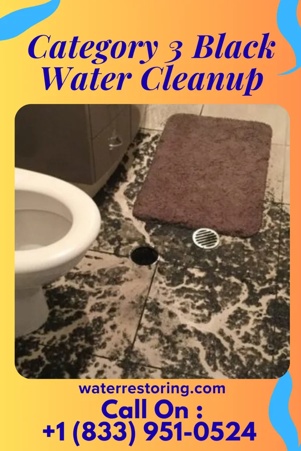Category 3 Black Water Cleanup in Lindsey, OH