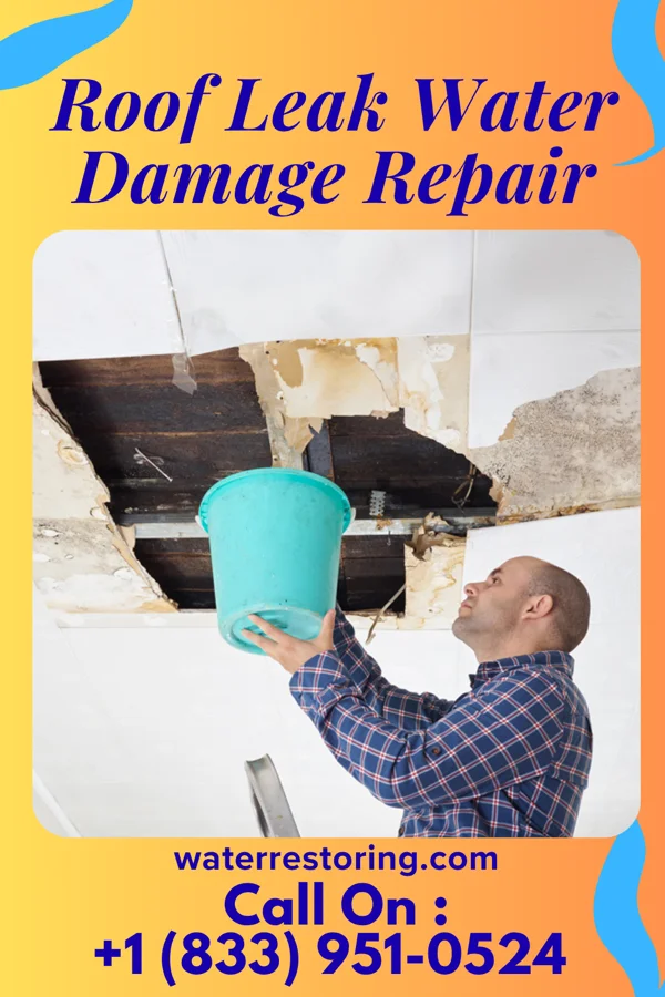 Roof Leak Water Damage Repair in Lindsey, OH